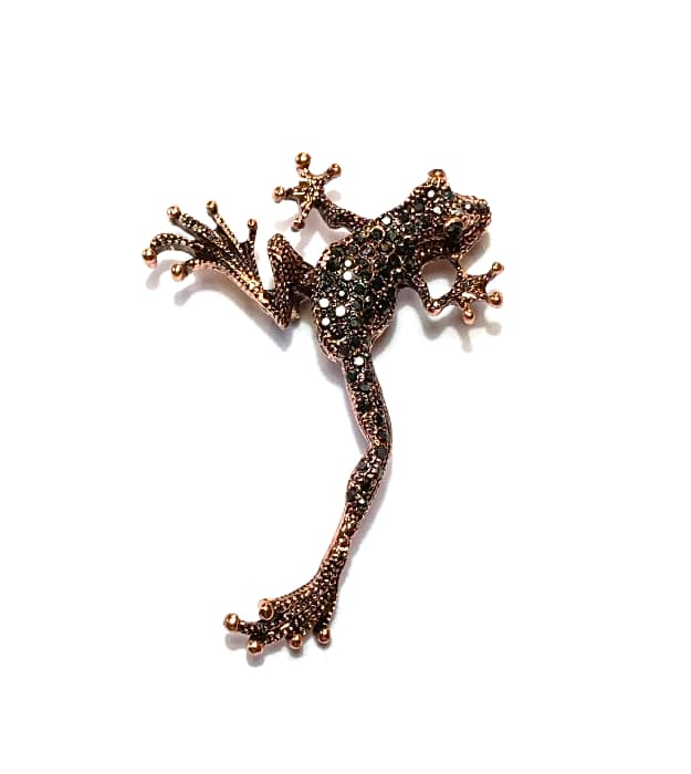 Kikker Broche voor jas